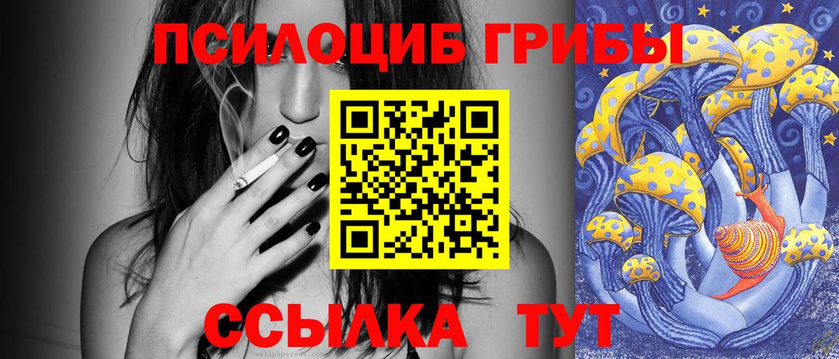 Галлюциногенные грибы мицелий  Псилоцибиновые грибы GOLDEN TEACHER  Вход с VPN  Северобайкальск 