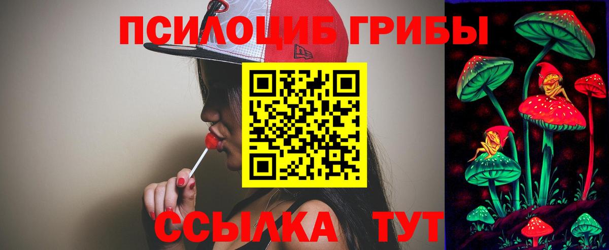 Галлюциногенные грибы Psilocybine cubensis Северобайкальск